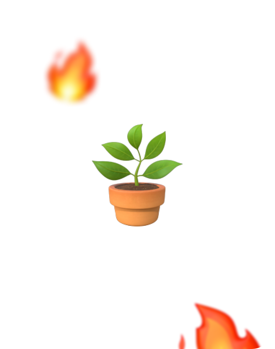 Hight revenue picture